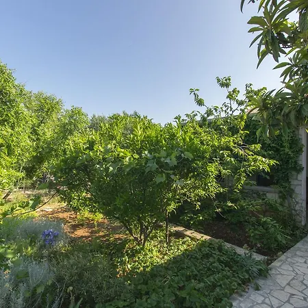 Apartament Alda Murter