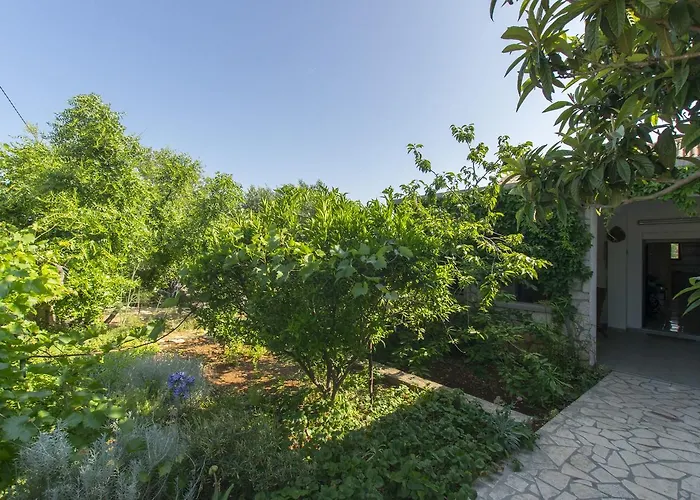 Apartment Alda Murter